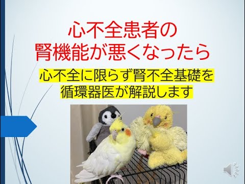 心不全患者の腎機能が悪くなったら(心不全に限らず腎不全の基礎を循環器医が頑張って解説します！)