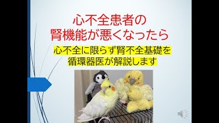 心不全患者の腎機能が悪くなったら(心不全に限らず腎不全の基礎を循環器医が頑張って解説します！)