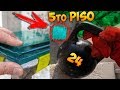 ¡VIDRO BLINDADO! | ¡¿Podrá resistir a una PELOTA de BOWLING y a una PESA?!