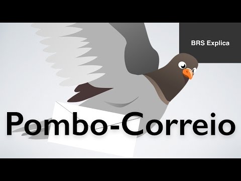 Vídeo: Os pássaros eram usados como mensageiros?