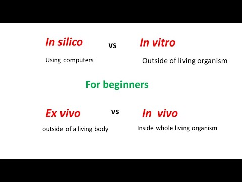 In silico vs In Vitro vs Ex Vivo vs In Vivo experiments