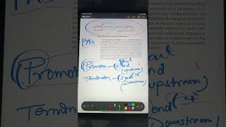 transcription reneet most important topic ✅💯 #biology #neet #ytshorts