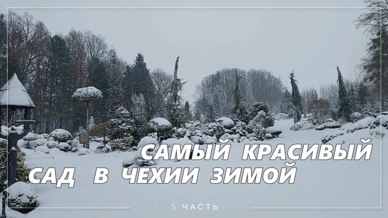 Обзор красивого сада в Чехии зимой. Miniarboretum u Holubů. 5 часть