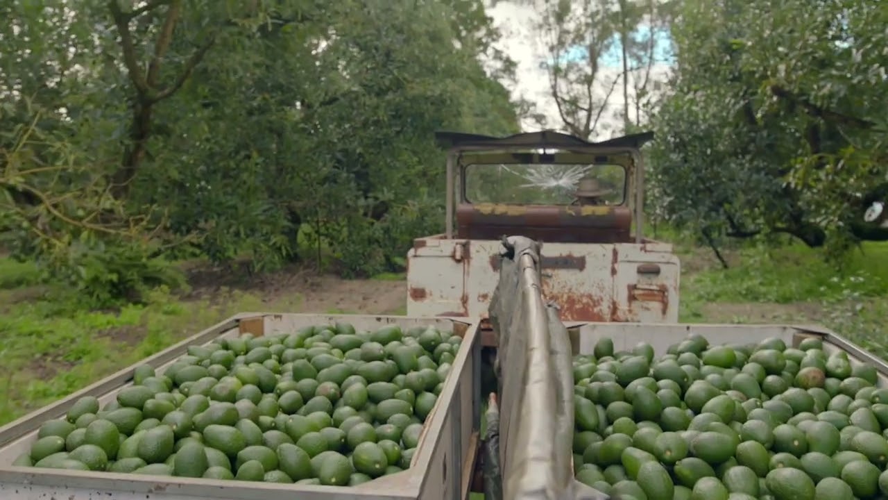 Creciendo de forma Sostenible