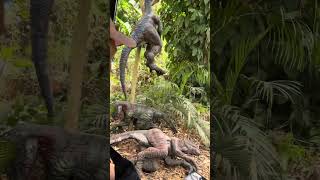 Dino Safari Ride / Dinosaur Island Clark Pampanga March 16,2024