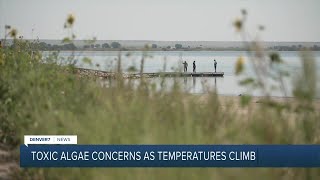 Colorado health officials expect busy season for toxic algae blooms: Here's why