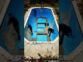 converting abandoned pool into new swimming pool😀