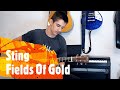 Fields Of Gold - Sting cover by Aleksa