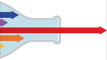 Process Insights: The OPPI