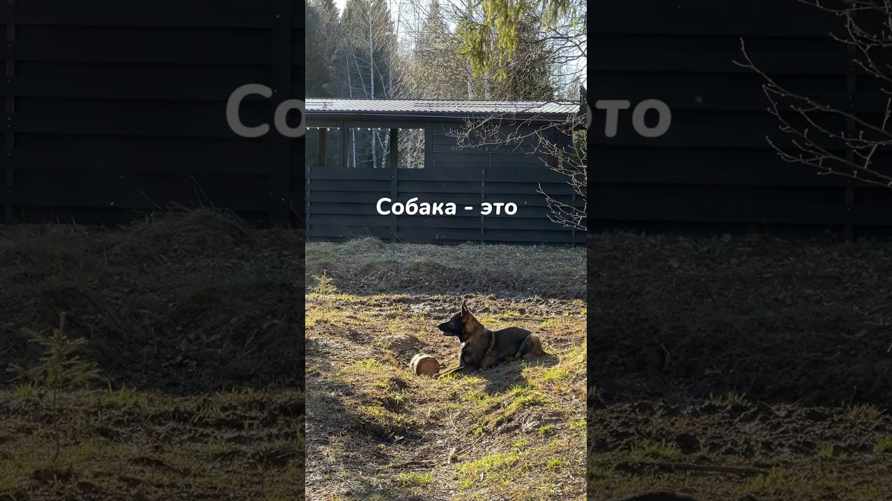 как в песне💓 