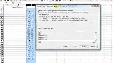 How to use the Text to Columns feature in Excel 2003