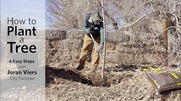 Learn to Plant a Tree with Albuquerque City Forester, Joran Viers