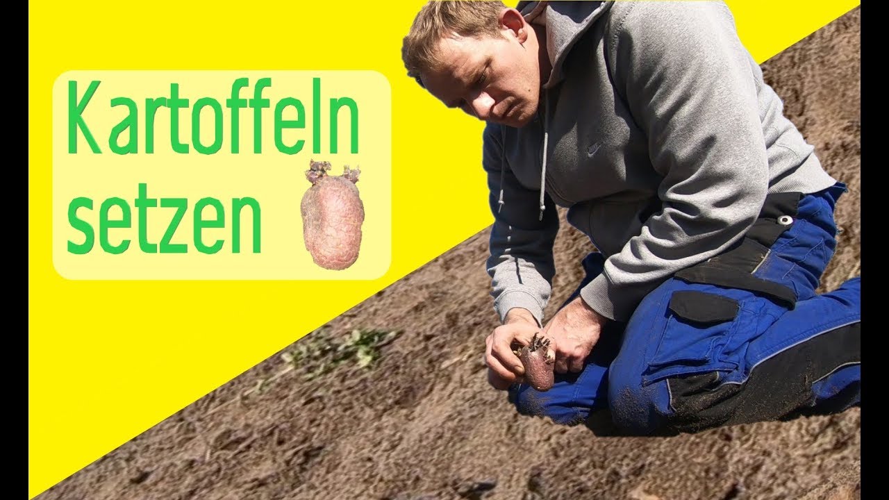 Garten April Kartoffeln setzen Topinambur Brokkoli pflanzen YouTube