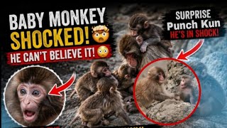 Punch Update Today | Punch The Monkey Can’t Escape These Playful Baby Monkeys! | Ichikawa Zoo Japan