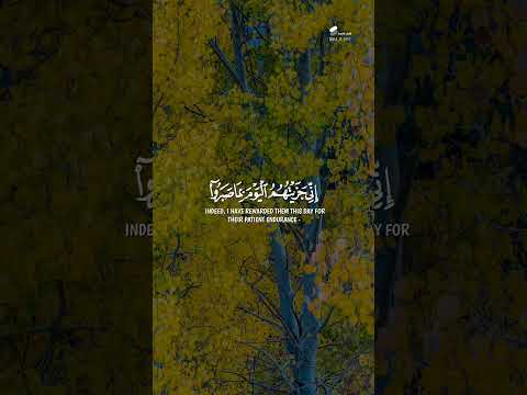 إ ن ى ج ز ي ت ه م ٱل ي و م ب م ا ص ب ر و ا عبدالباسط عبدالصمد