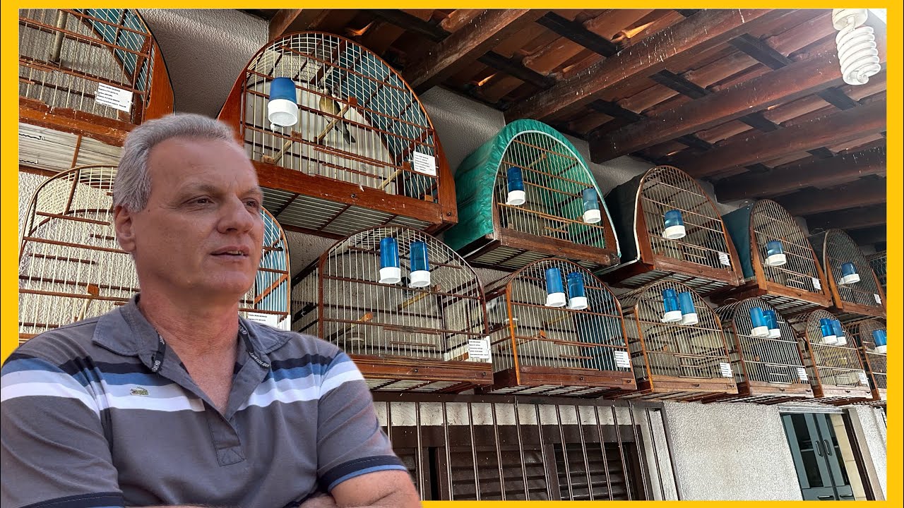 UM PLANTEL COM VÁRIAS ESPÉCIES DE PÁSSAROS