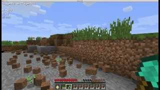 Famous Minecraft Hacked Client | Feature | Survival Nuker Net Worth