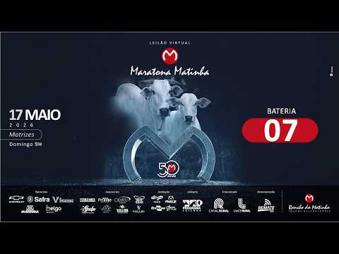 BATERIA 07
