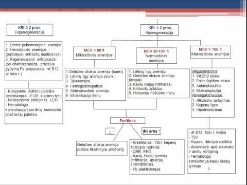 Video: Folio Rūgšties Trūkumo Anemija - Priežastys, Simptomai, Kaip Gydyti?