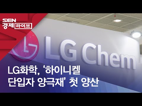 LG화학 하이니켈 단입자 양극재 첫 양산 