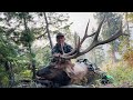 INSANE KILL SHOT! Archery Elk Hunt - Stuck N The Rut 175