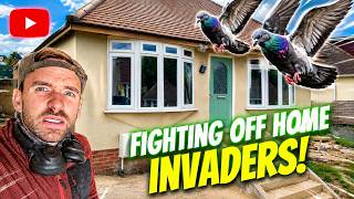 HOME INVASION! Pigeons Take Over My Abandoned Bungalow
