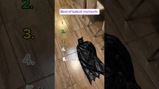 Best of BATCAT moments 😂🥀