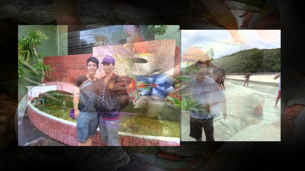 ỐC SÊN CHẠY - youtube