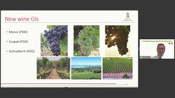 Strengthening geographical indications - Session 2, Panel 4 - Increasing attractiveness of GIs 1