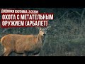 Охота с метательным оружием (арбалет) в рес. Беларусь // Дневники охотника #3 / #10