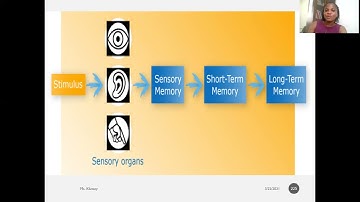 FACTORS AFFECTING LEARNING