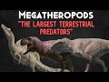 Megatheropods  the largest land carnivores to exist