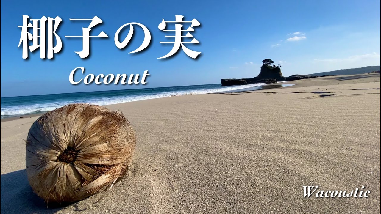 双子椰子の実 椰子の実 Coconut【Japanese Flute】 - YouTube