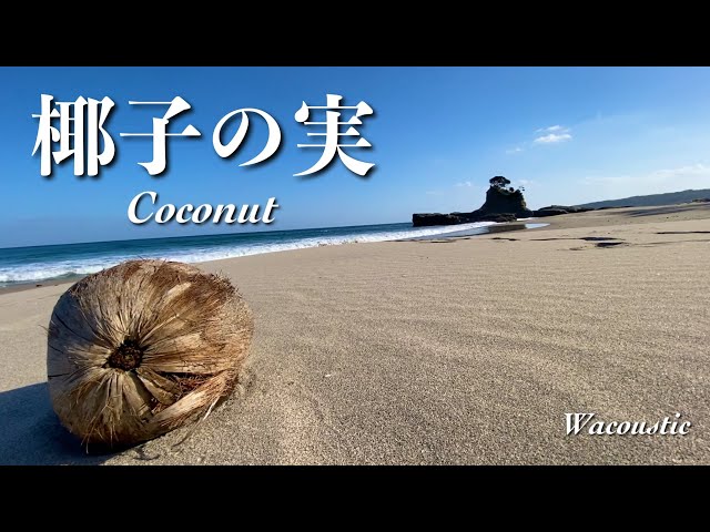 双子椰子の実 椰子の実 Coconut【Japanese Flute】 - YouTube