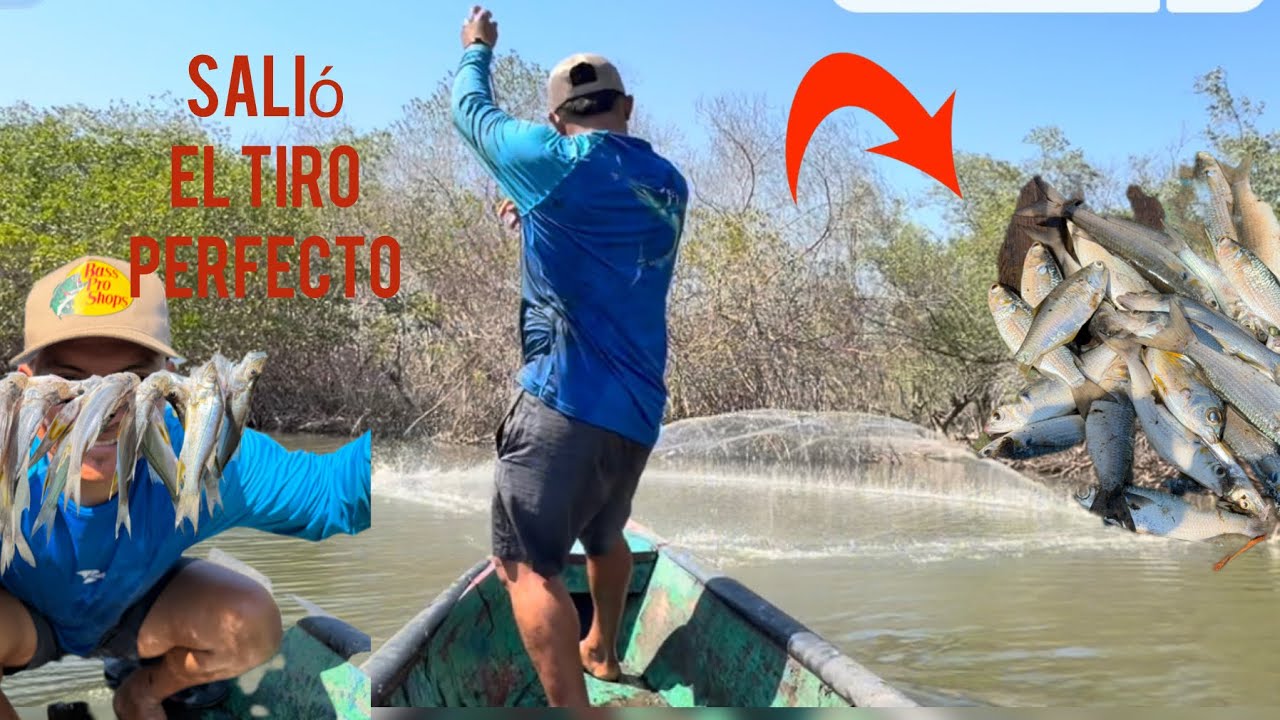 De Tantos Tiro Siempre Hay Uno con la Bendición Completa 😱