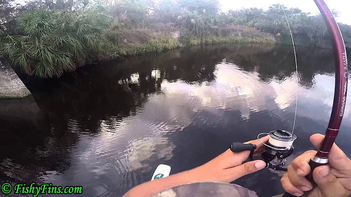 Justin Snook Peace River Rapala Lure Go Away GoPro