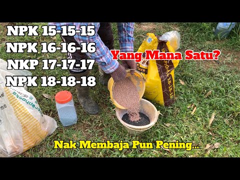 Video: Apakah unsur dalam tempoh 4 Kumpulan 15?