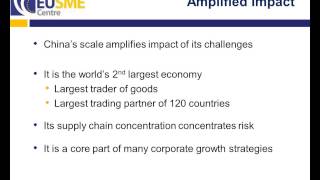 EU SME Centre Webinar: How to Avoid Business Risk in China - A Guide to Due Diligence for EU SMEs