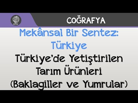 Mekânsal Bir Sentez: Türkiye - Türkiye’de Yetiştirilen Tarım Ürünleri (Baklagiller ve Yumrular)