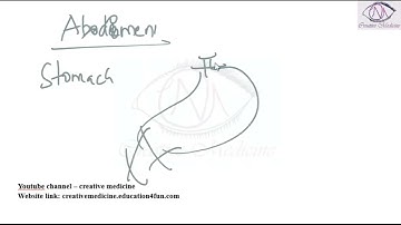 Lec 13  Autopsy   Dissection of Stomach mp4 || FORENSIC