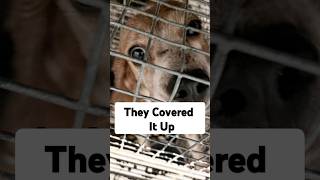 Tomorrow We Ask the Court: Appoint a Special Prosecutor, Hold Ridglan Accountable for Animal Cruelty