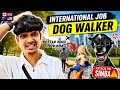 International Job | Best Job For Students | Dog Walker | Part Time Job