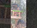 دیسی گوری مادی کی آواز      