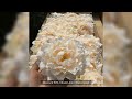 20pcs/lot Artificial Peony Flower Head Wedding Party Christmas Decoration DIY Silk Flower Wall Backg