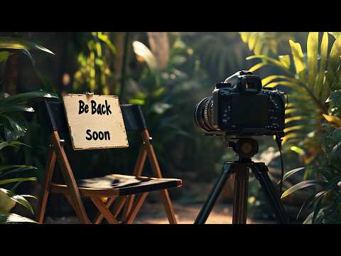 Why I Stopped Vlogging… and Why I’m Back!