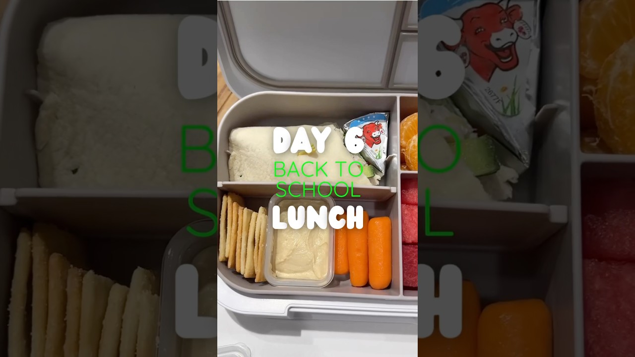 Day 6: This lunch is a wrap star 🌟 