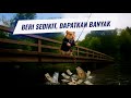 Umpan Hamster: Berhenti Menimbun—Mulai Berkembang dengan Kerendahan Hati
