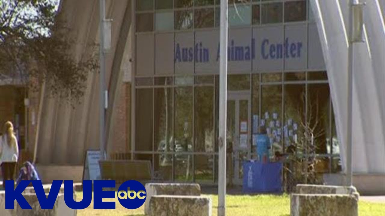 Austin Animal Center dealing with staffing shortages | KVUE