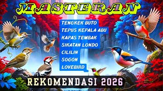 DIJAMIN MENTAL JUARA | MASTERAN MURAI BATU, CUCAK HIJAU, KACER, ANIS MERAH, TLEDEKAN, CENDET