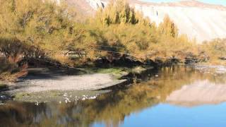 LAS COLORADAS - Neuquén-